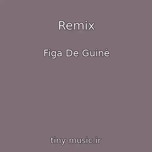 کاور آهنگ Remix از Figa De Guinè
