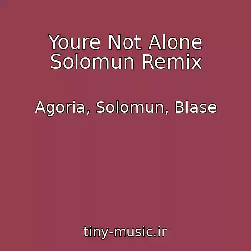 کاور آهنگ Youre Not Alone Solomun Remix از Agoria, Solomun, Blase
