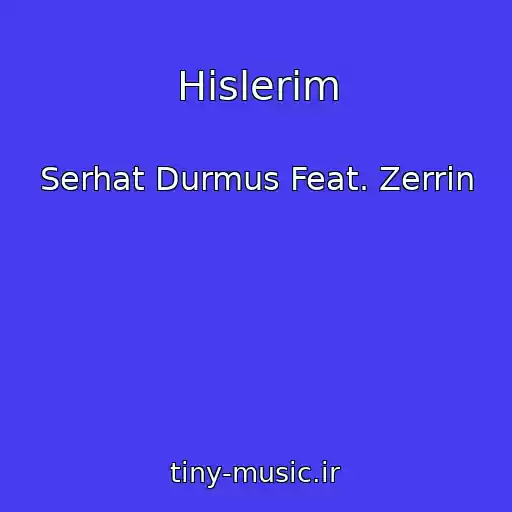 کاور آهنگ Hislerim از Serhat Durmus Feat. Zerrin
