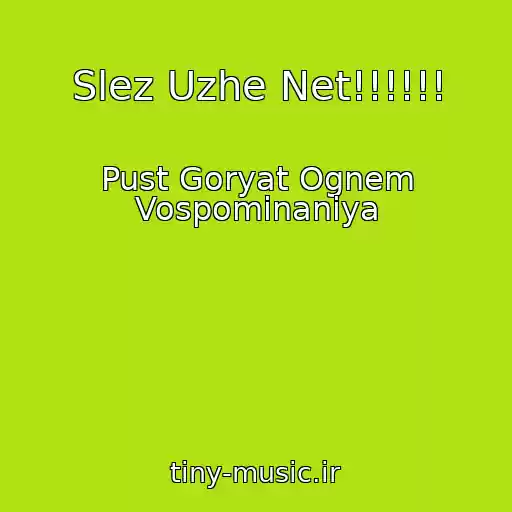 کاور آهنگ Slez Uzhe Net!!!!!! از Pust Goryat Ognem Vospominaniya