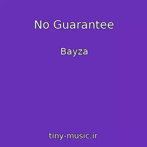 کاور آهنگ No Guarantee از Bayza