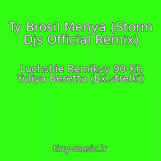 کاور آهنگ Ty Brosil Menya (Storm Djs Official Remix) از Luchshie Remiksy 90-Kh Yuliya Beretta (Ex.strelki)