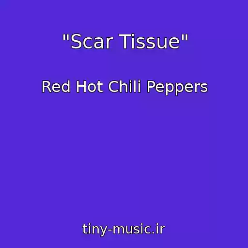 کاور آهنگ "Scar Tissue" از Red Hot Chili Peppers