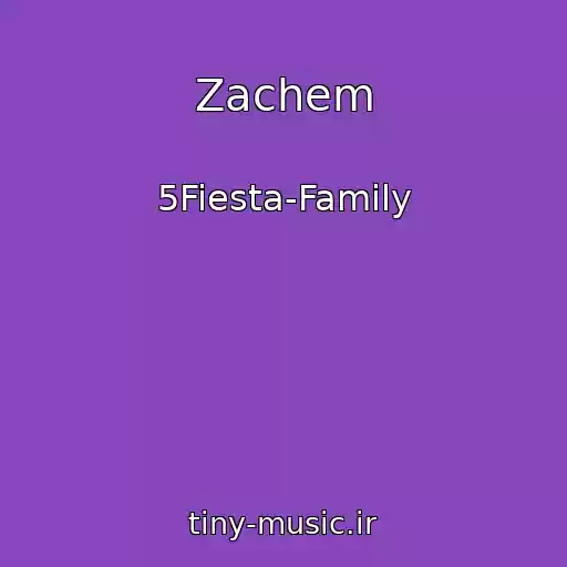 کاور آهنگ Zachem از 5Fiesta-Family