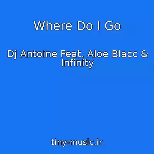 کاور آهنگ Where Do I Go از Dj Antoine Feat. Aloe Blacc & Infinity