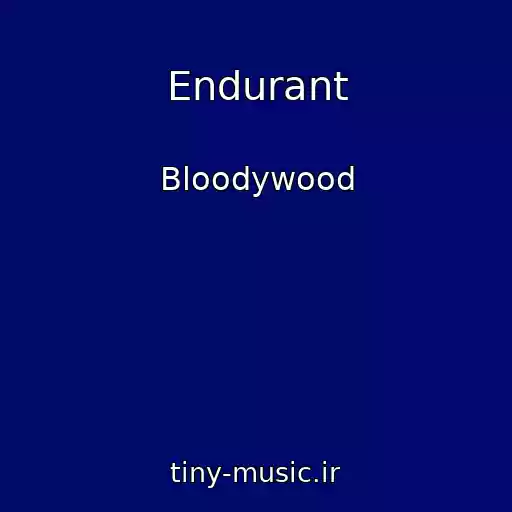 کاور آهنگ Endurant از Bloodywood