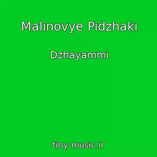 کاور آهنگ Malinovye Pidzhaki از Dzhayammi