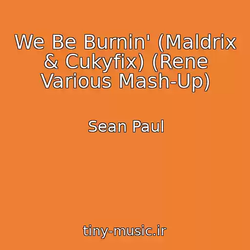 کاور آهنگ We Be Burnin' (Maldrix & Cukyfix) (Rene Various Mash-Up) از Sean Paul