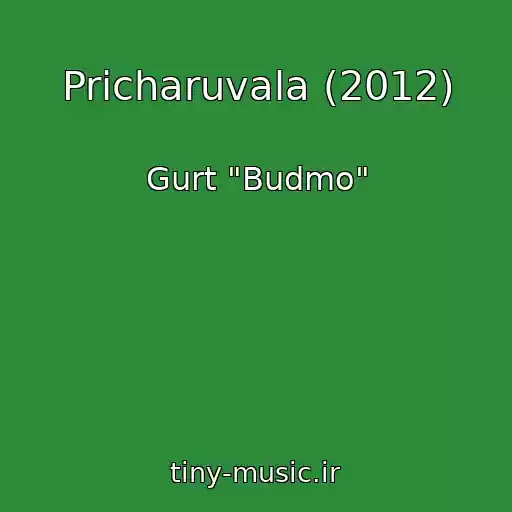 کاور آهنگ Pricharuvala (2012) از Gurt "Budmo"