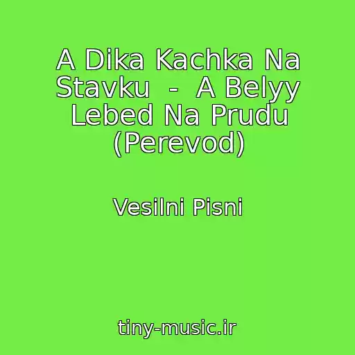 کاور آهنگ A Dika Kachka Na Stavku  -  A Belyy Lebed Na Prudu (Perevod) از Vesіlnі Pіsnі