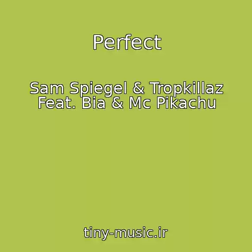 کاور آهنگ Perfect از Sam Spiegel & Tropkillaz Feat. Bia & Mc Pikachu