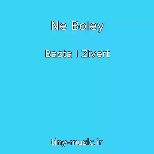 کاور آهنگ Ne Boley از Basta I Zivert