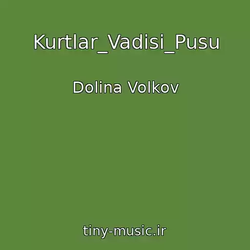 کاور آهنگ Kurtlar_Vadisi_Pusu از Dolina Volkov