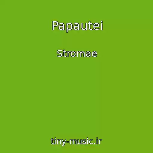 کاور آهنگ Papautei از Stromae