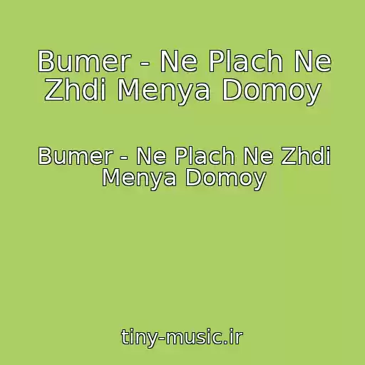 کاور آهنگ Bumer - Ne Plach Ne Zhdi Menya Domoy از Bumer - Ne Plach Ne Zhdi Menya Domoy
