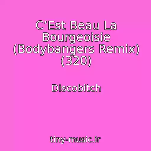 کاور آهنگ C’Est Beau La Bourgeoisie (Bodybangers Remix) (320) از Discobitch