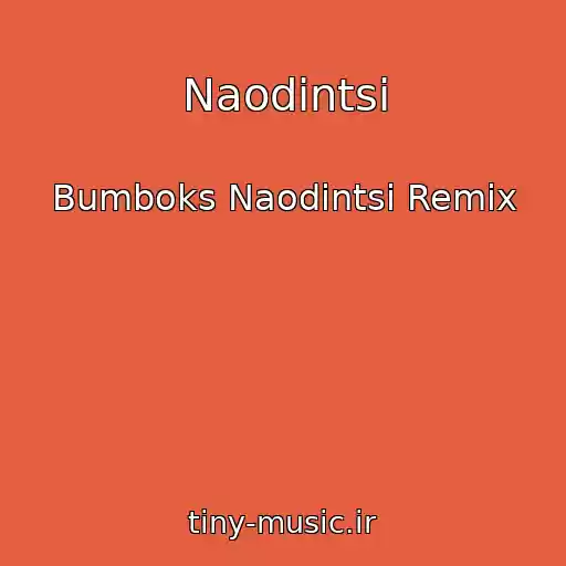 کاور آهنگ Naodintsі از Bumboks Naodintsі Remix