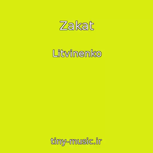 کاور آهنگ Zakat از Litvinenko