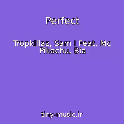 کاور آهنگ Perfect از Tropkillaz, Sam I Feat. Mc Pikachu, Bia