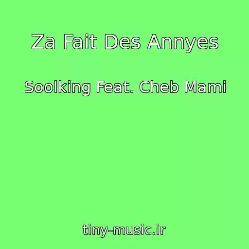 کاور آهنگ Za Fait Des Annyes از Soolking Feat. Cheb Mami