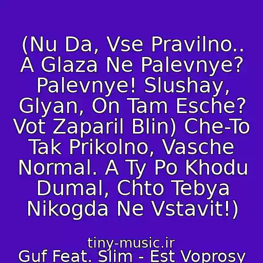 کاور آهنگ (Nu Da, Vse Pravilno.. A Glaza Ne Palevnye? Palevnye! Slushay, Glyan, On Tam Esche? Vot Zaparil Blin) Che-To Tak Prikolno, Vasche Normal. A Ty Po Khodu Dumal, Chto Tebya Nikogda Ne Vstavit!) از Guf Feat. Slim - Est Voprosy