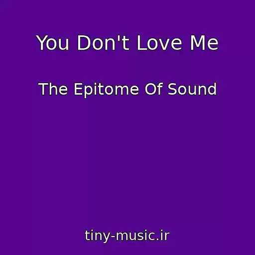 کاور آهنگ You Don't Love Me از The Epitome Of Sound