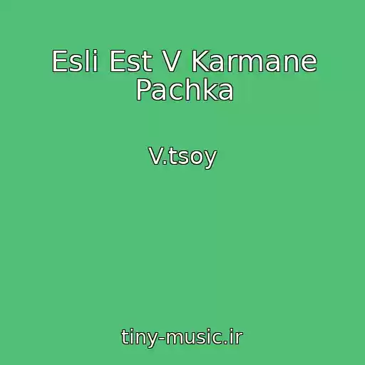 کاور آهنگ Esli Est V Karmane Pachka از V.tsoy