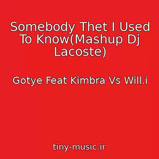 کاور آهنگ Somebody Thet I Used To Know(Mashup Dj Lacoste) از Gotye Feat Kimbra Vs Will.i