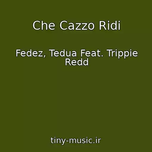کاور آهنگ Che Cazzo Ridi از Fedez, Tedua Feat. Trippie Redd