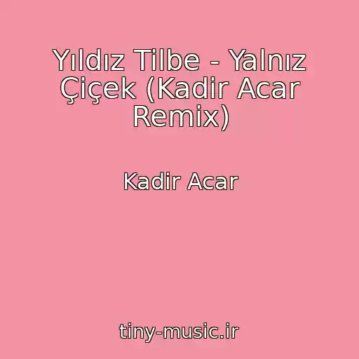 کاور آهنگ Yıldız Tilbe - Yalnız Çiçek (Kadir Acar Remix) از Kadir Acar