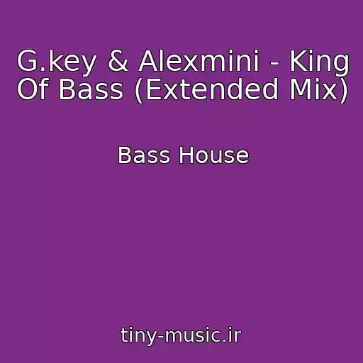 کاور آهنگ G.key & Alexmini - King Of Bass (Extended Mix) از Bass House