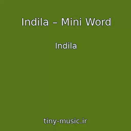 کاور آهنگ Indila – Mini Word از Indila