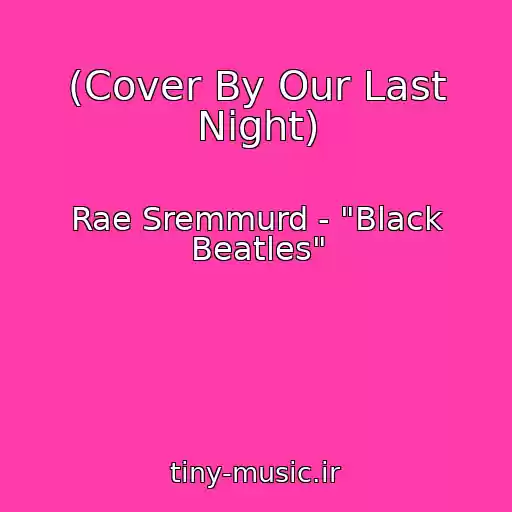 کاور آهنگ (Cover By Our Last Night) از Rae Sremmurd - "Black Beatles"