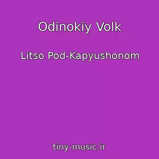 کاور آهنگ Odinokiy Volk از Litso Pod-Kapyushonom