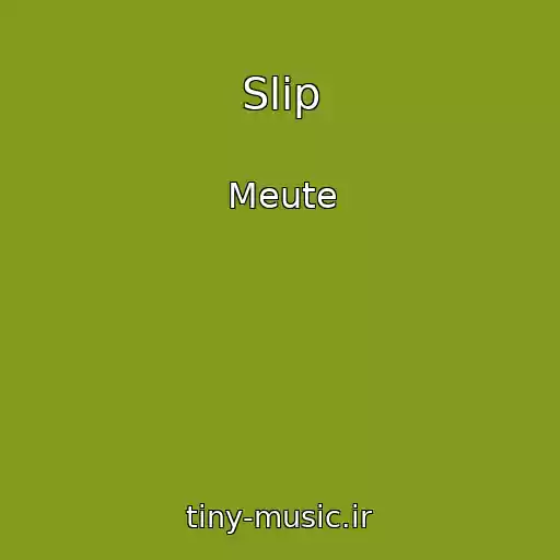 کاور آهنگ Slip از Meute