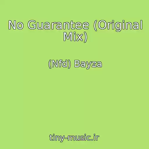 کاور آهنگ No Guarantee (Original Mix) از (Nfd) Bayza