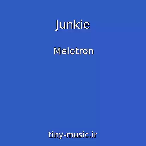 کاور آهنگ Junkie از Melotron