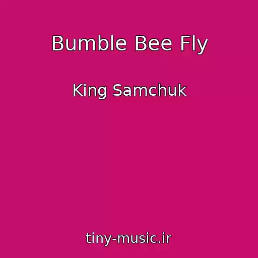 کاور آهنگ Bumble Bee Fly از King Samchuk