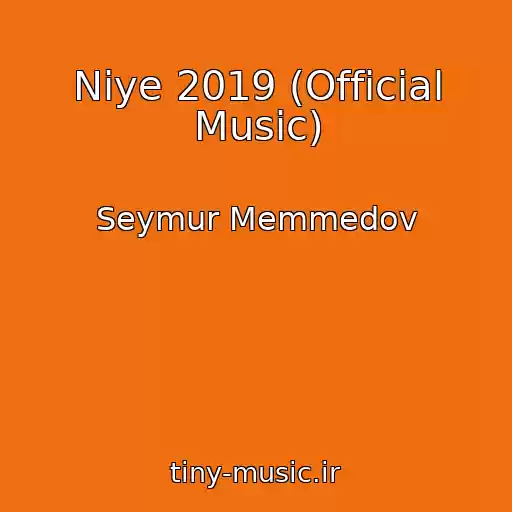 کاور آهنگ Niye 2019 (Official Music) از Seymur Memmedov