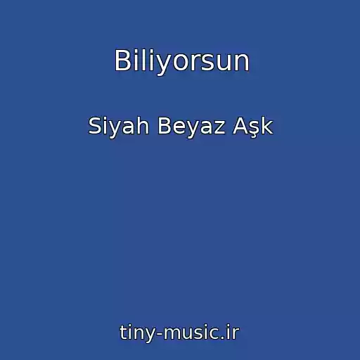 کاور آهنگ Biliyorsun از Siyah Beyaz Aşk