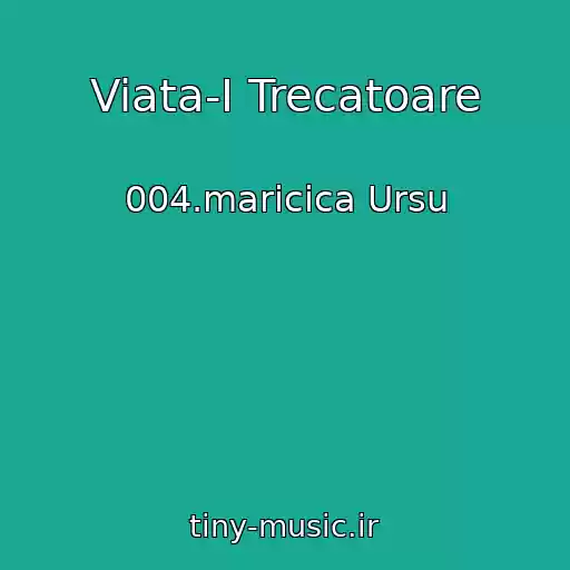 کاور آهنگ Viata-I Trecatoare از 004.maricica Ursu