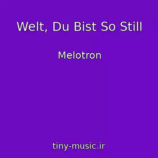 کاور آهنگ Welt, Du Bist So Still از Melotron