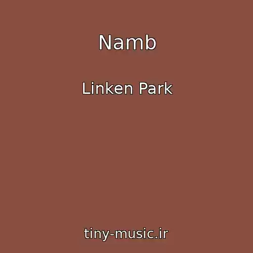 کاور آهنگ Namb از Linken Park