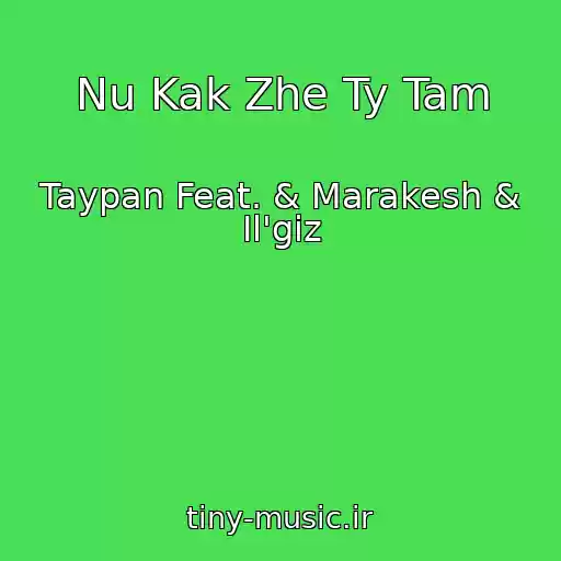 کاور آهنگ Nu Kak Zhe Ty Tam از Taypan Feat. & Marakesh & Il'giz