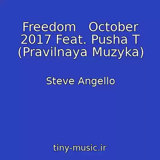 کاور آهنگ Freedom   October 2017 Feat. Pusha T (Pravilnaya Muzyka) از Steve Angello