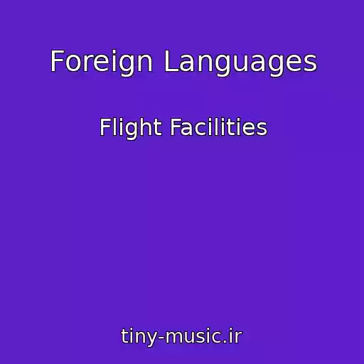 کاور آهنگ Foreign Languages از Flight Facilities