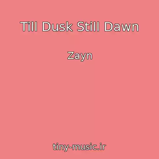 کاور آهنگ Till Dusk Still Dawn از Zayn