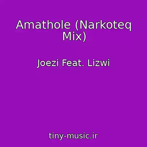 کاور آهنگ Amathole (Narkoteq Mix) از Joezi Feat. Lizwi