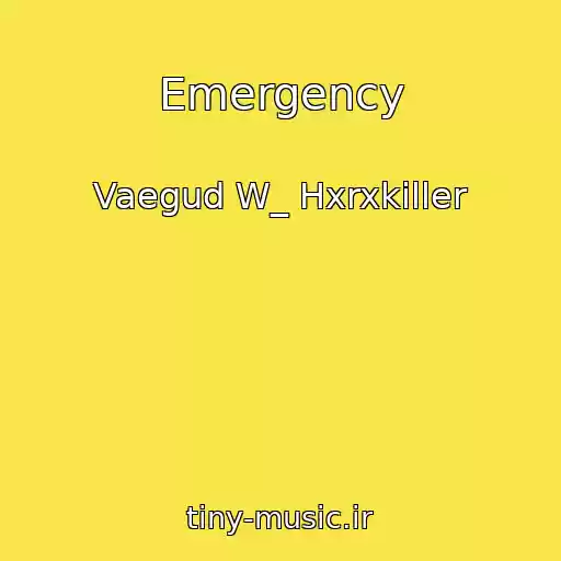 کاور آهنگ Emergency از Vaegud W_ Hxrxkiller