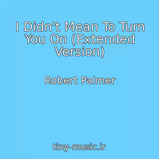 کاور آهنگ I Didn't Mean To Turn You On (Extended Version) از Robert Palmer